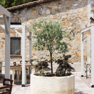 Filo d'olio Ristorante Perugia Filo d'olio Ristorante Perugia