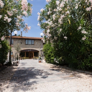 Filo d'olio Ristorante Perugia Filo d'olio Ristorante Perugia