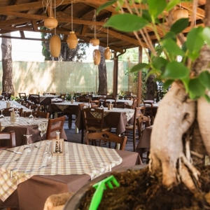 Filo d'olio Ristorante Perugia Filo d'olio Ristorante Perugia